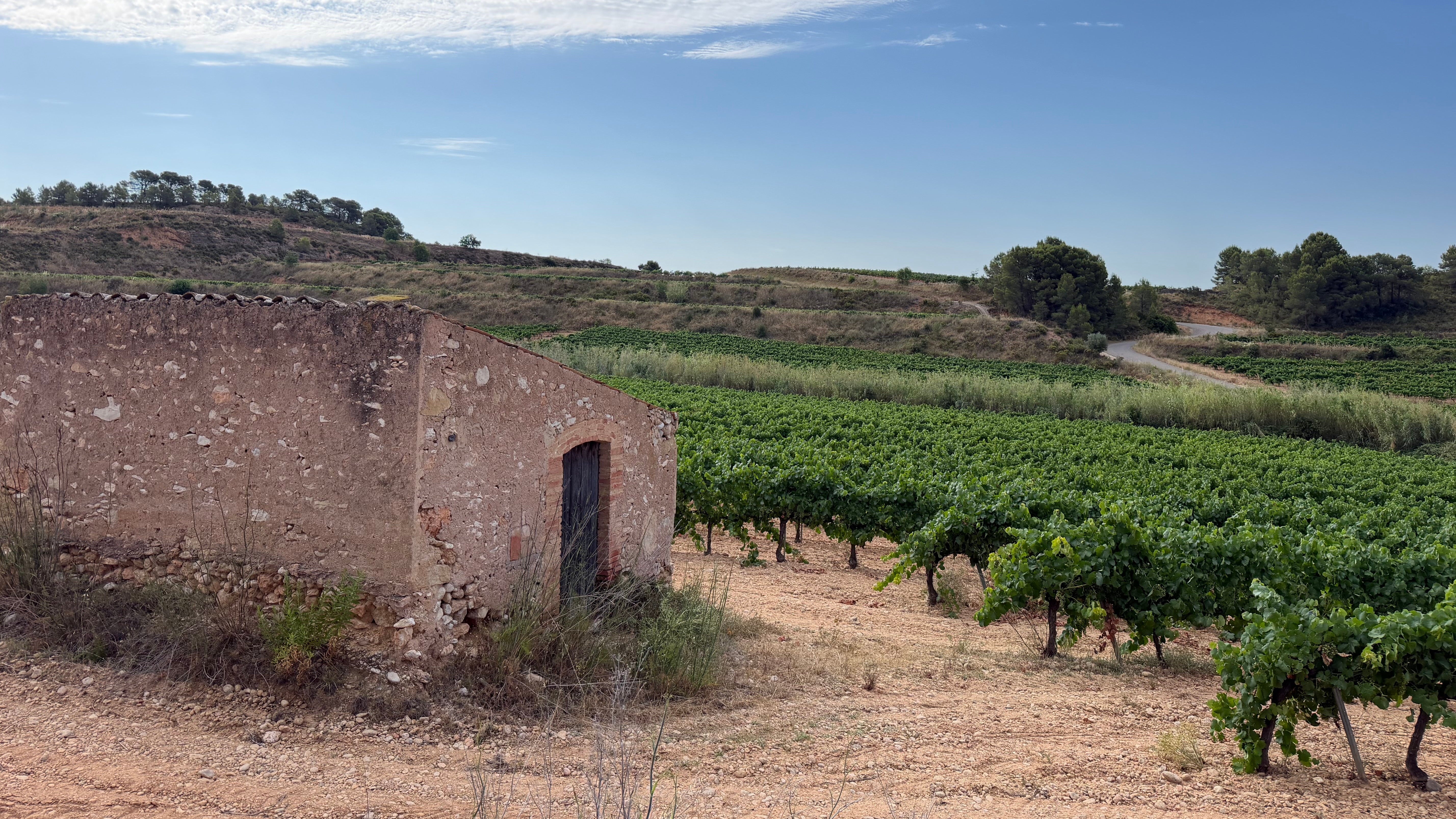 Natuurwijn in Catalonië, 3 wijnmakers die we bezochten