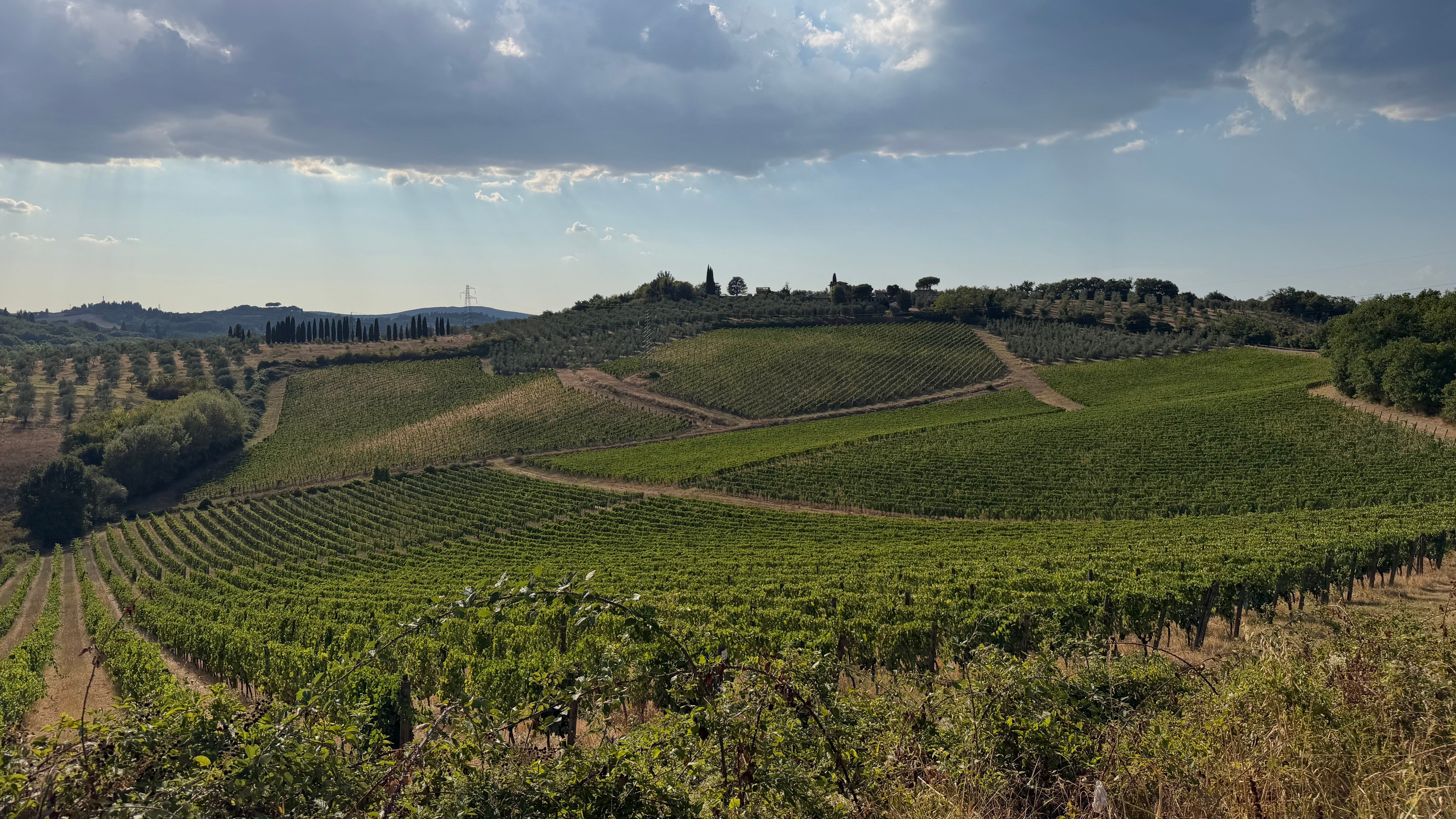 Natuurwijn in Toscane, drie wijnmakers in Chianti die je moet kennen