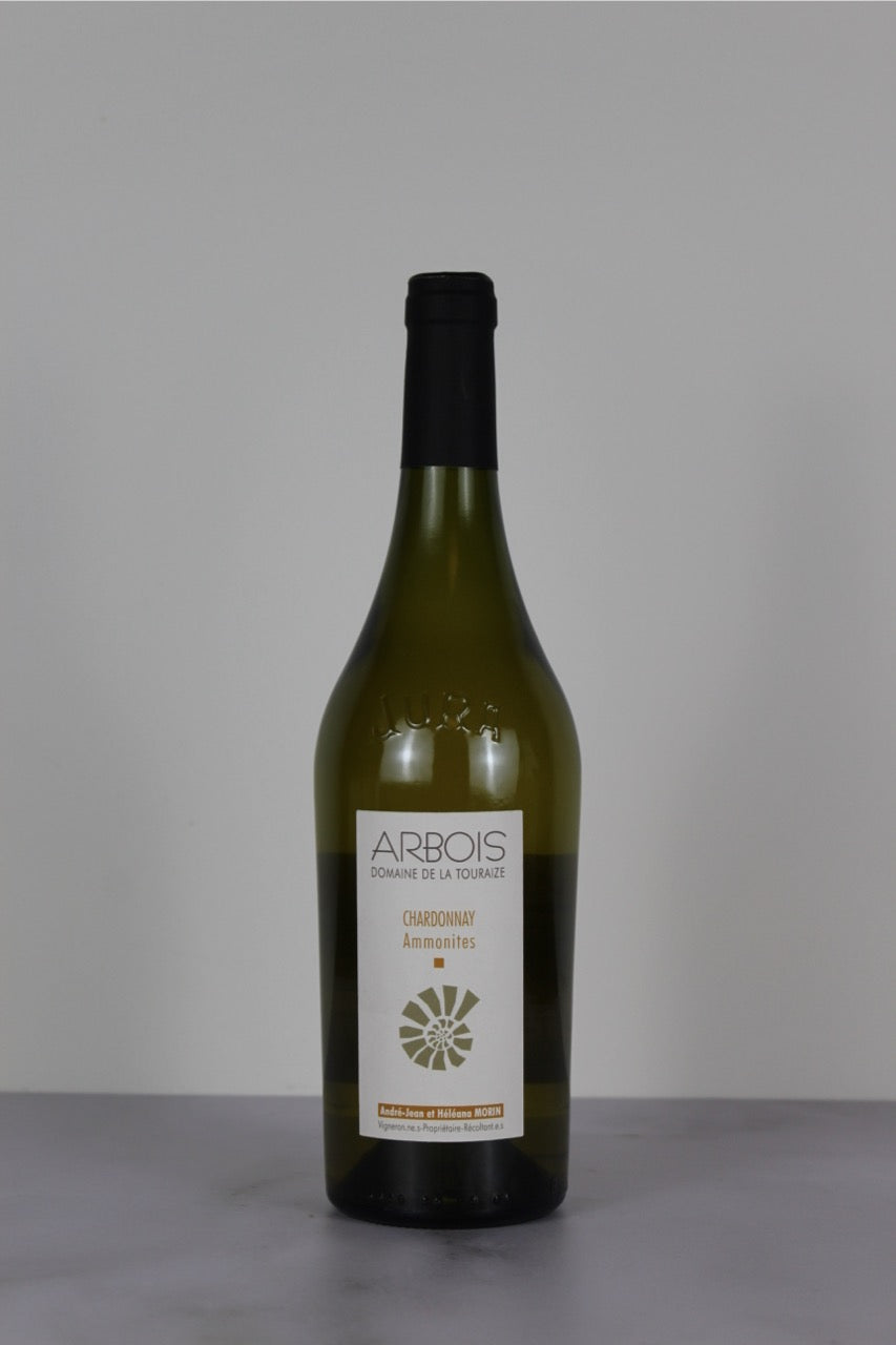 Chardonnay Ammonites